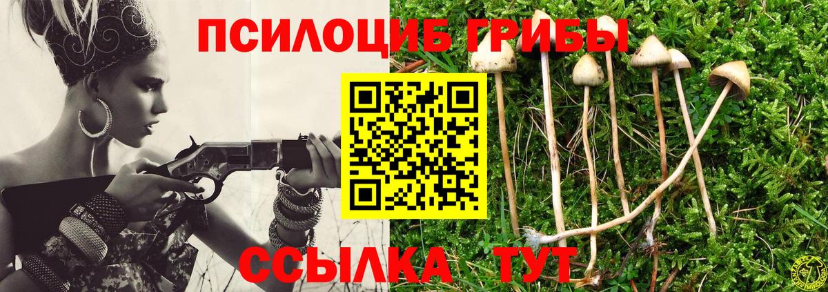 Галлюциногенные грибы Psilocybine cubensis Казань