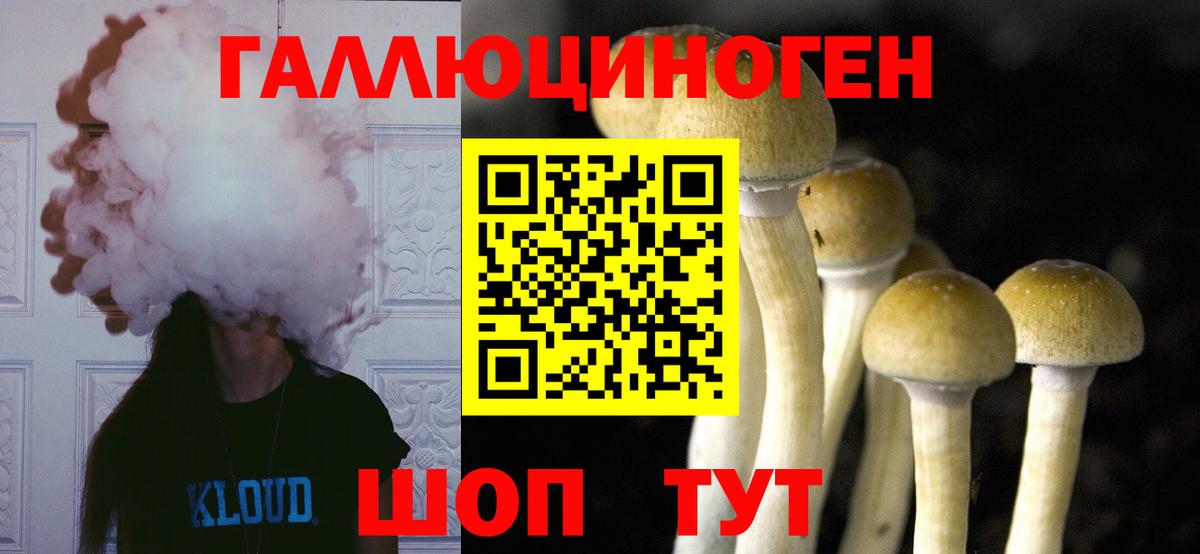 Казань  Галлюциногенные грибы MAGIC MUSHROOMS  Вход с VPN  Псилоцибиновые грибы Psilocybine cubensis 
